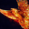 Phoenix - Image 3