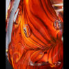 Phoenix - Image 4