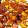 Amber - Image 4