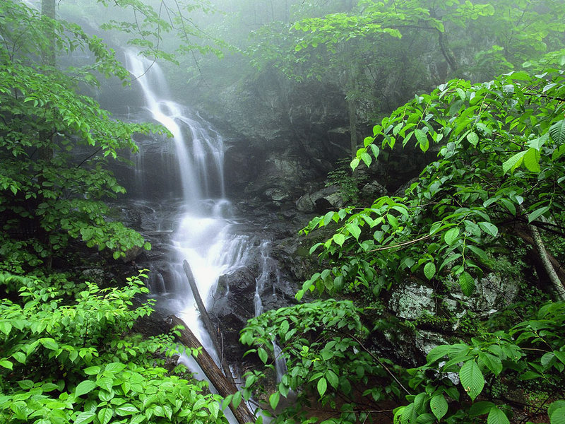 Emerald Mist - Image 4