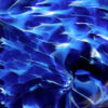 Tempest - Image 2